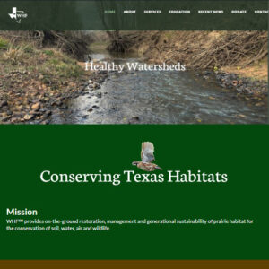 Non-Profit Organization Websites