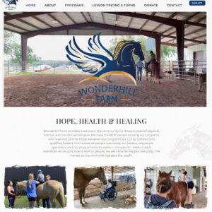 Health & Wellness Websites